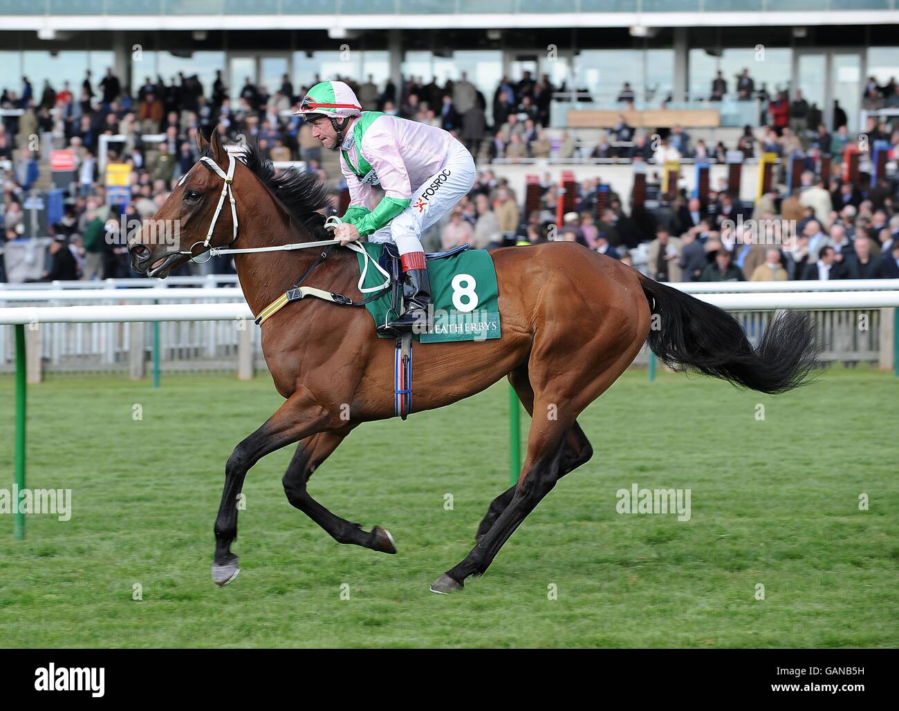 Traffic Guard ridden by John Egan prior to the Weatherbys Earl Of Sefton Stakes (Group 3) Stock Photo