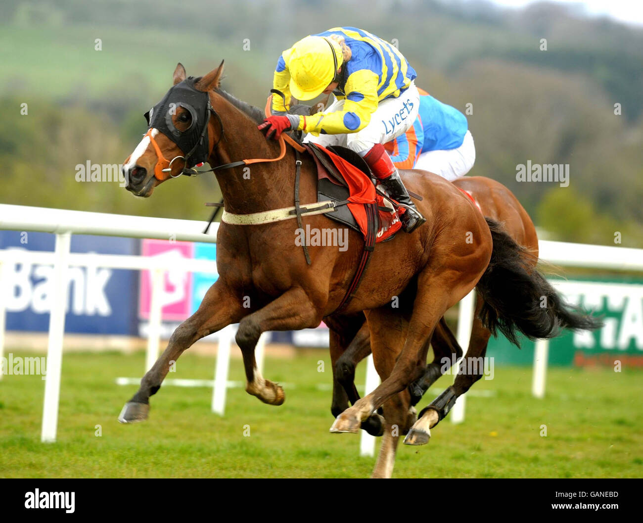 Robert Thornton on Blazing Bailey, trained by Alan King, wins the Ladbrokes.com World Series Hurdle during the 2008 National Hunt Festival at Punchestown Racecourse, Ireland. Stock Photo