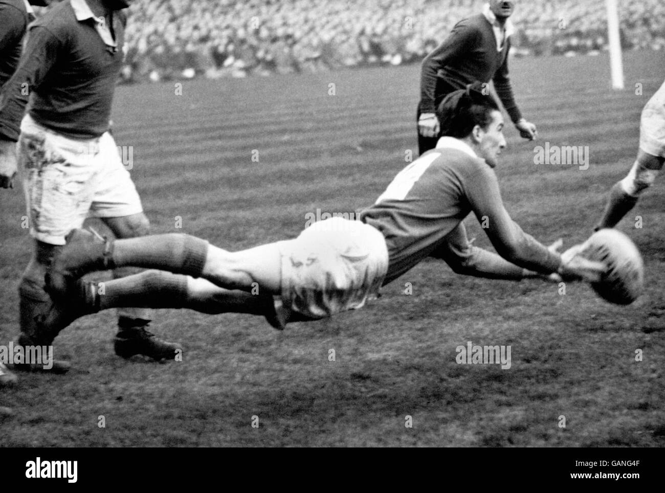Photo Ancienne Rugby - Rex Willis (Pays De Galles) Vs Angleterre, 1952