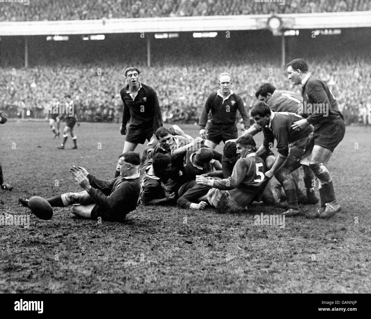 Wales' Alun Pask (l) slips and loses the ball in the mud. Stock Photo