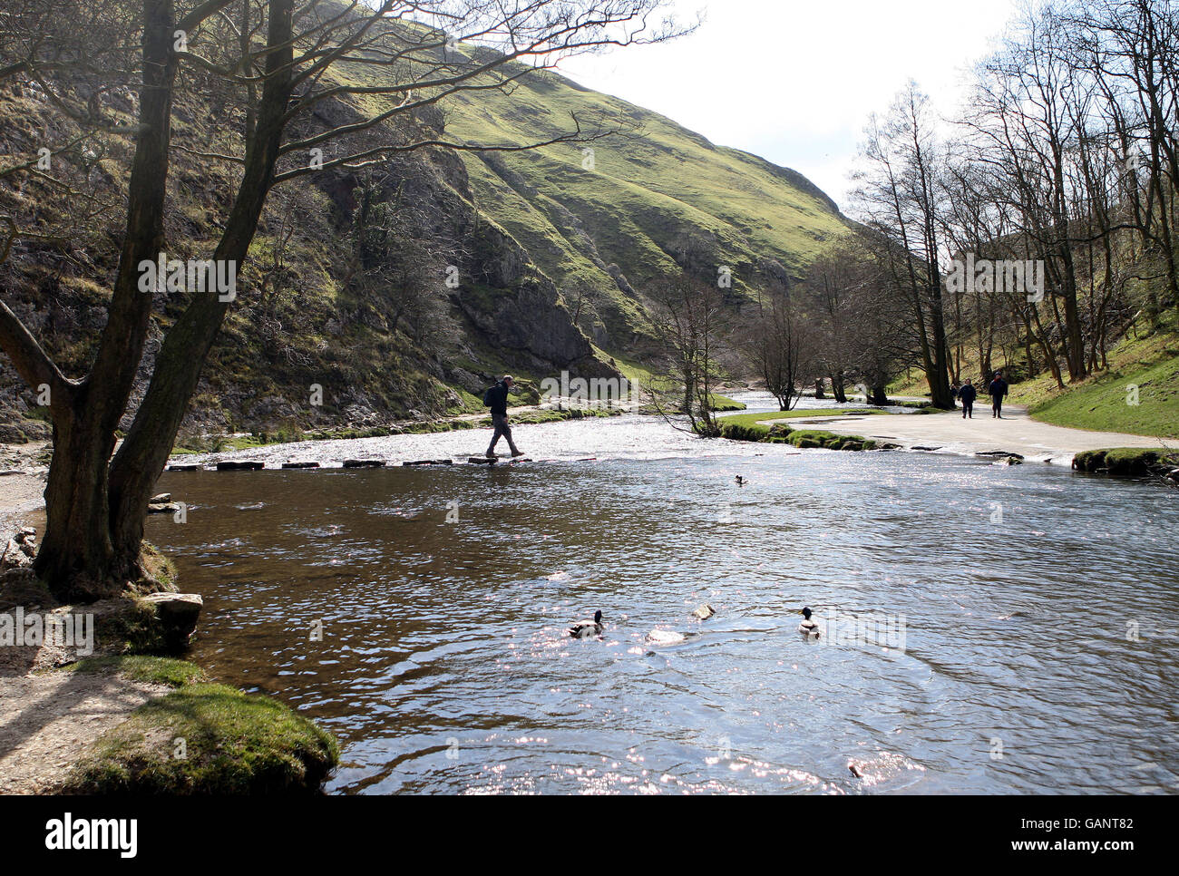 The 'stepping stones' over the river Dove in Dovedale, in the Derbyshire Peak District. Stock Photo