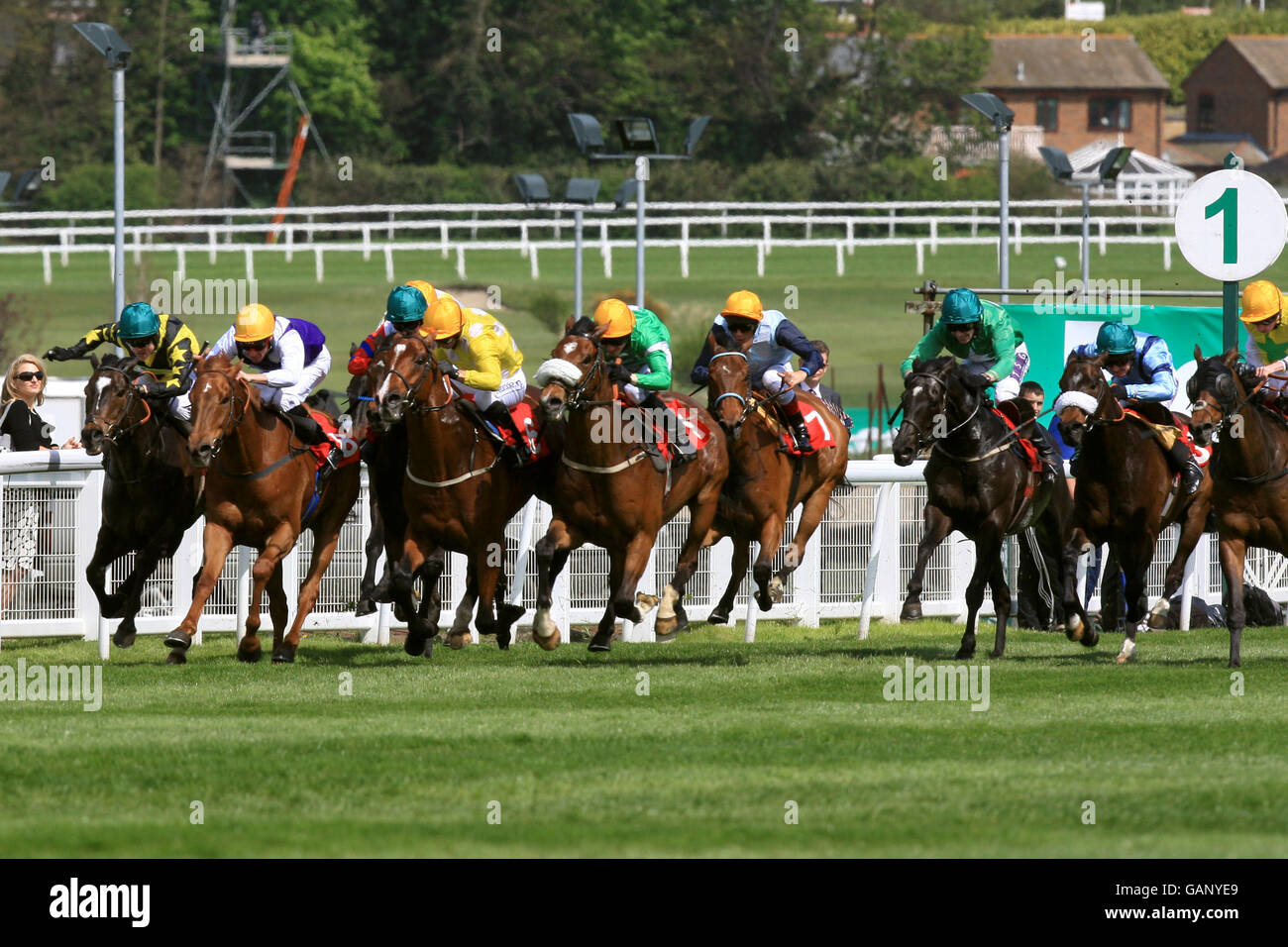 Horses in action during the Flat V Jump Jockeys Handicap Stakes at Sandown Park. Stock Photo