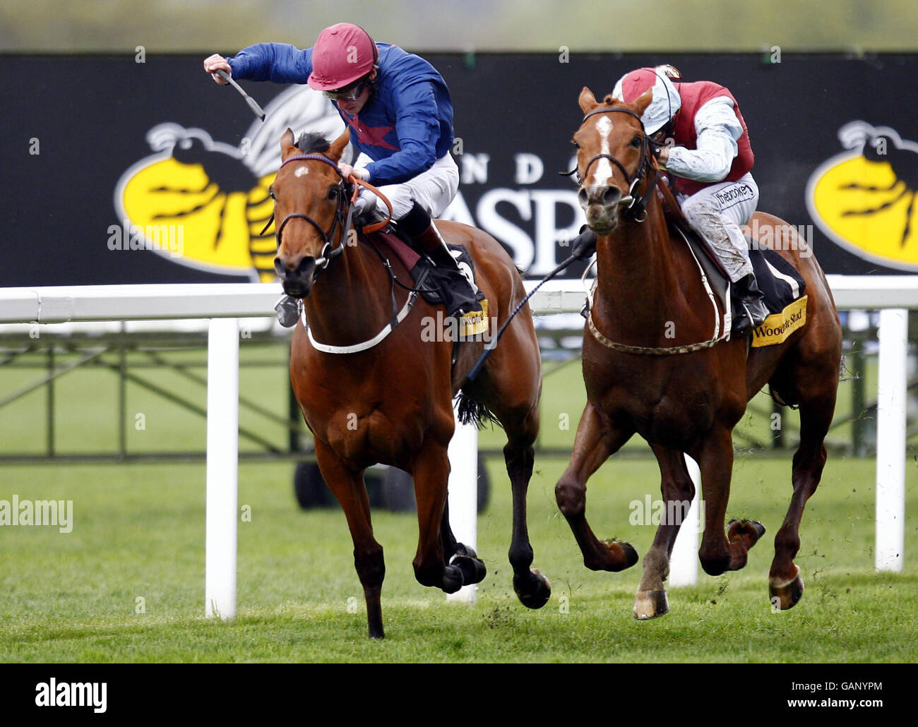 Horse Racing Ascot Racecourse Stock Photo Alamy