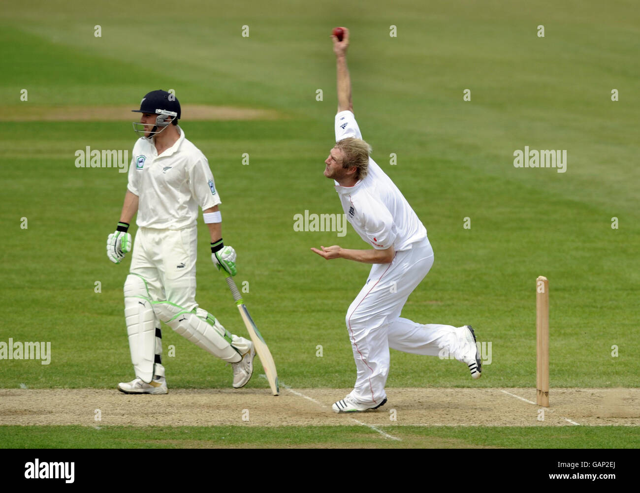 England Cricket Tour Dates New Zealand 2024 Celia Kaitlynn