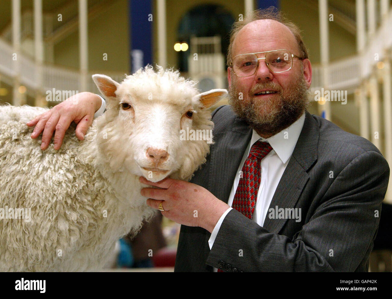 Undated file photo of Professor Ian Wilmut of the Roslin Institute with Dolly the Sheep, as stem cell research might be 20 years behind where it is today if Dolly the Sheep had never been born, according to the scientist whose team created the world's first mammal cloned from an adult cell. Stock Photo