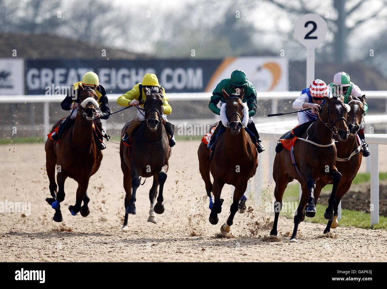 Horse Racing - Invitation Only Day - Great Leighs Racecourse Stock Photo