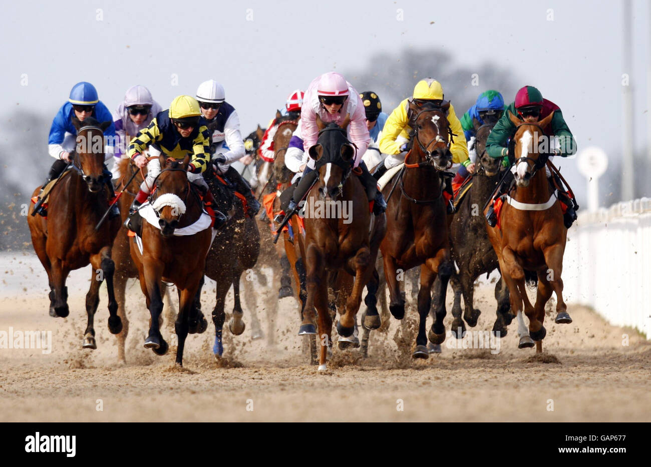 Sir Duke and jockey John Egan (fourth left) eventual winners of the First since 1927 Handicap stakes at Great Leighs Racecourse in Chelmsford, Essex. Stock Photo