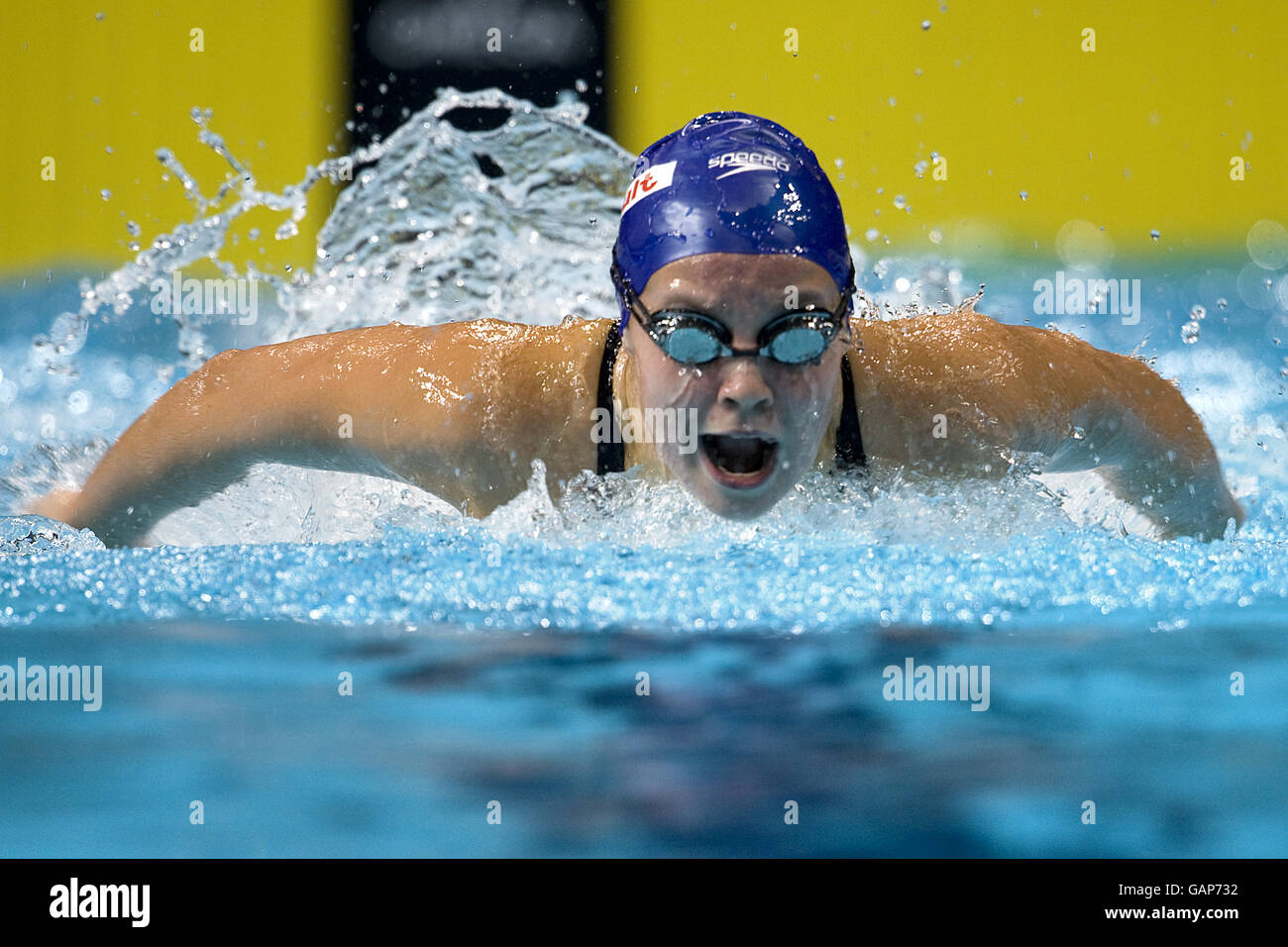 Swimming 9th FINA World Swimming Championships 2008 MEN Arena Stock