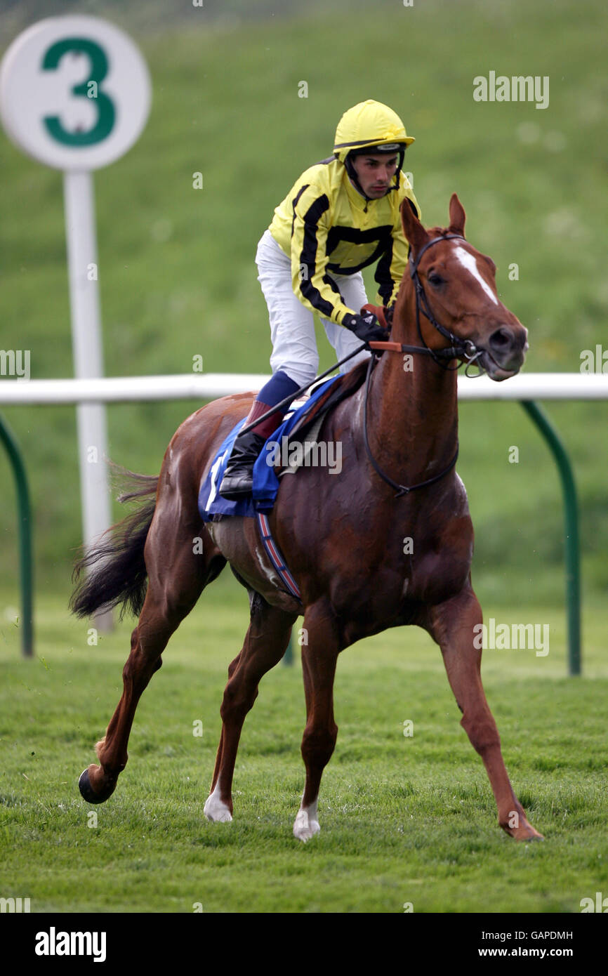 Horse Racing - Nottingham Racecourse Stock Photo - Alamy