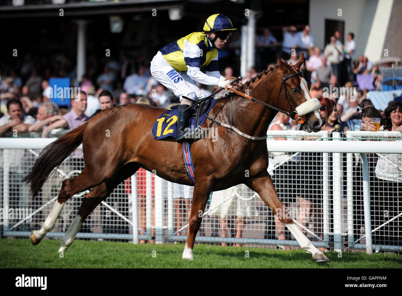 Full length horse racing daragh darragh darrah hires stock photography