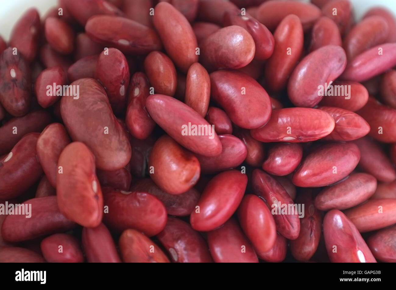 Red kidney beans Stock Photo - Alamy