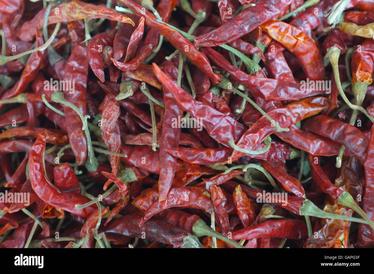 Dried red chilli peppers Stock Photo Alamy