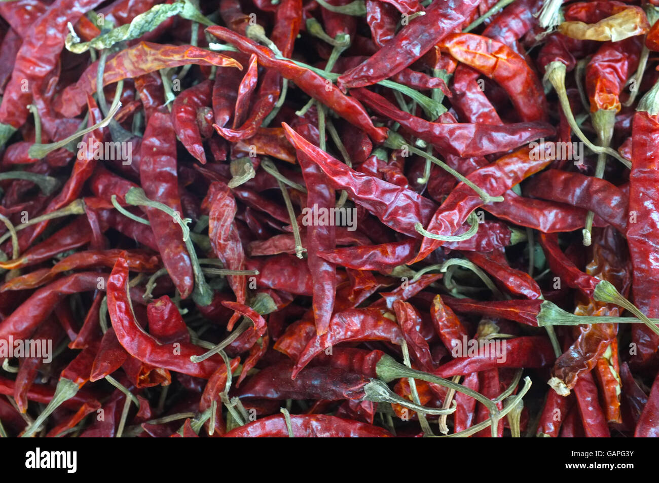 Dried red chilli peppers Stock Photo Alamy