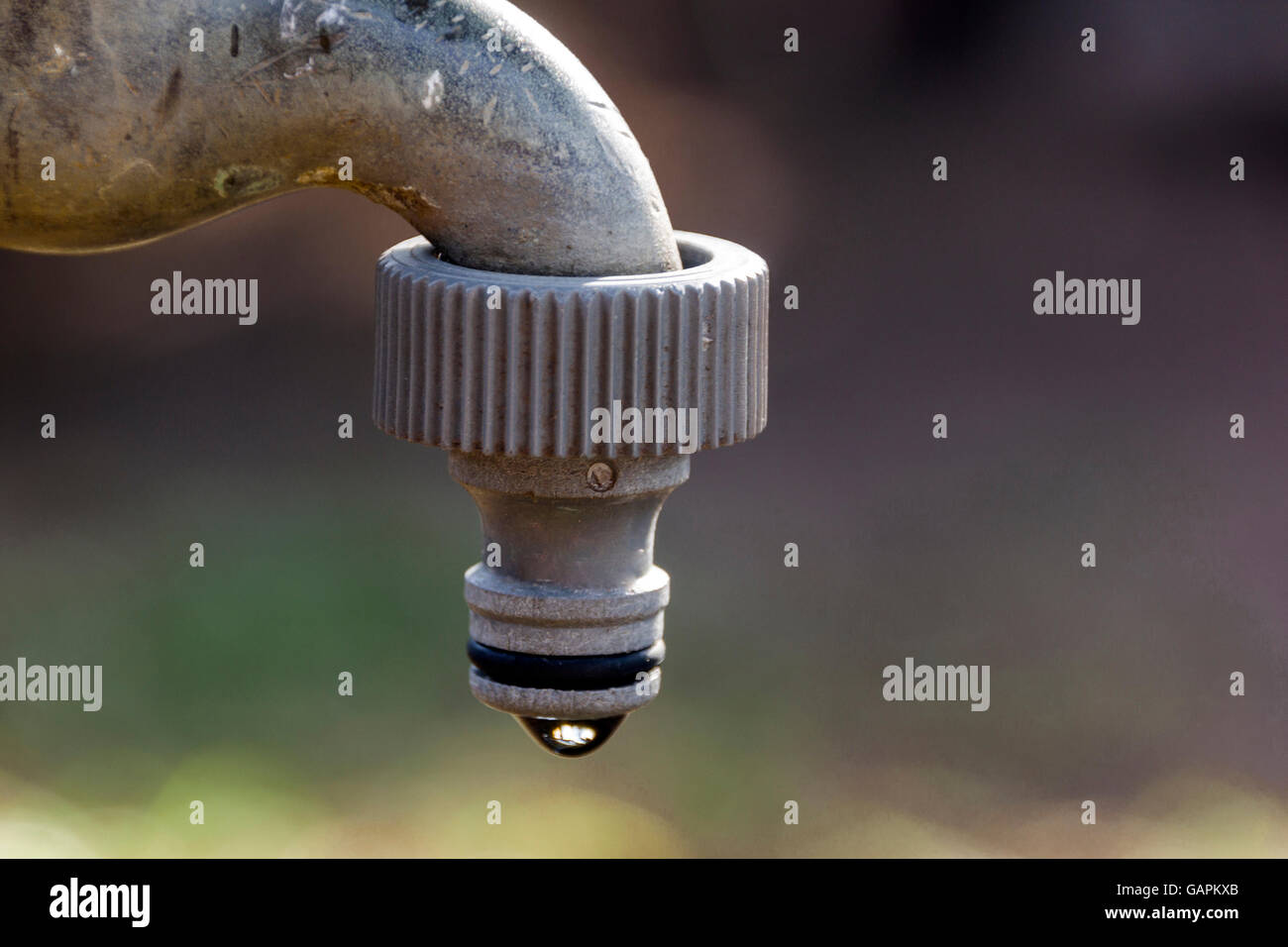Garden hose leak hires stock photography and images Alamy