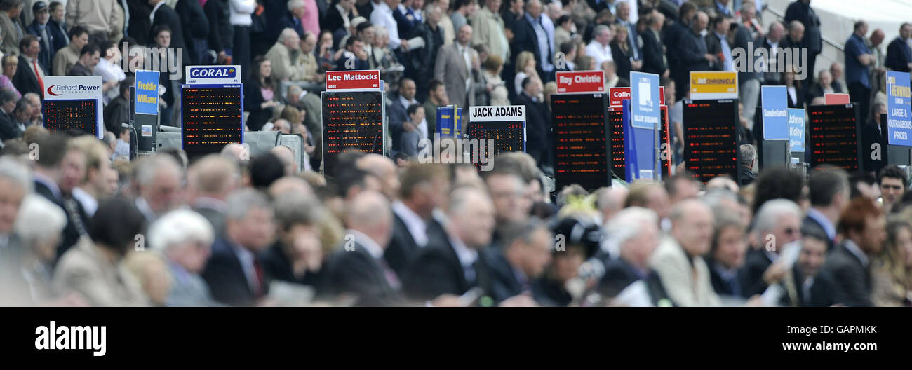 Bookmakers boards showing prices at York Racecourse, York. Stock Photo