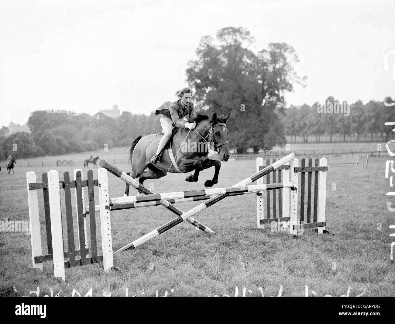 Sheila Willcox takes a jump on High and Mighty whilst practising at Windsor for the European Horse Trials Stock Photo