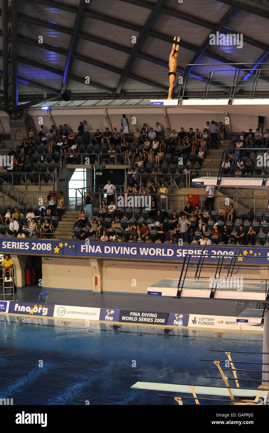 Diving Fina Diving World Series 2008 Day Two Ponds Great