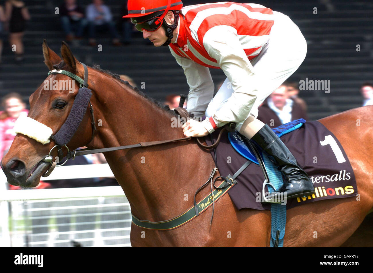 Fran Berry on Arch Rebel in the Tattersals Gold Cup at Curragh ...