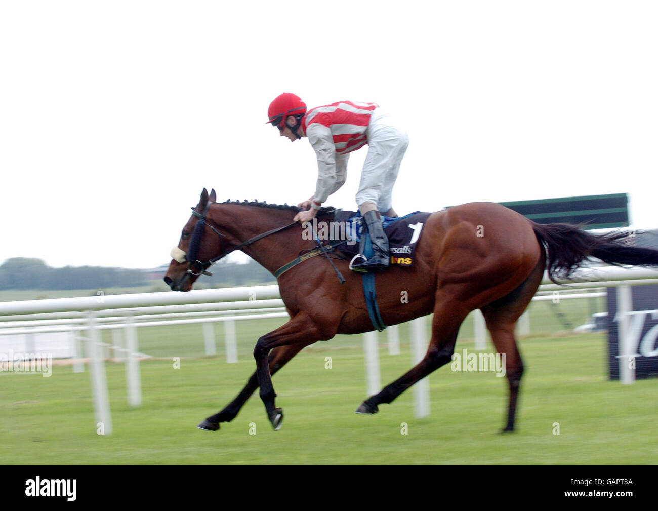 Horse Racing - Boylesports Irish 1000 Guineas/Tattersalls Gold Cup - Curragh Racecourse. Fran Berry on Arch Rebel in the Tattersals Gold Cup at Curragh Racecourse, Co Kildare, Ireland. Stock Photo