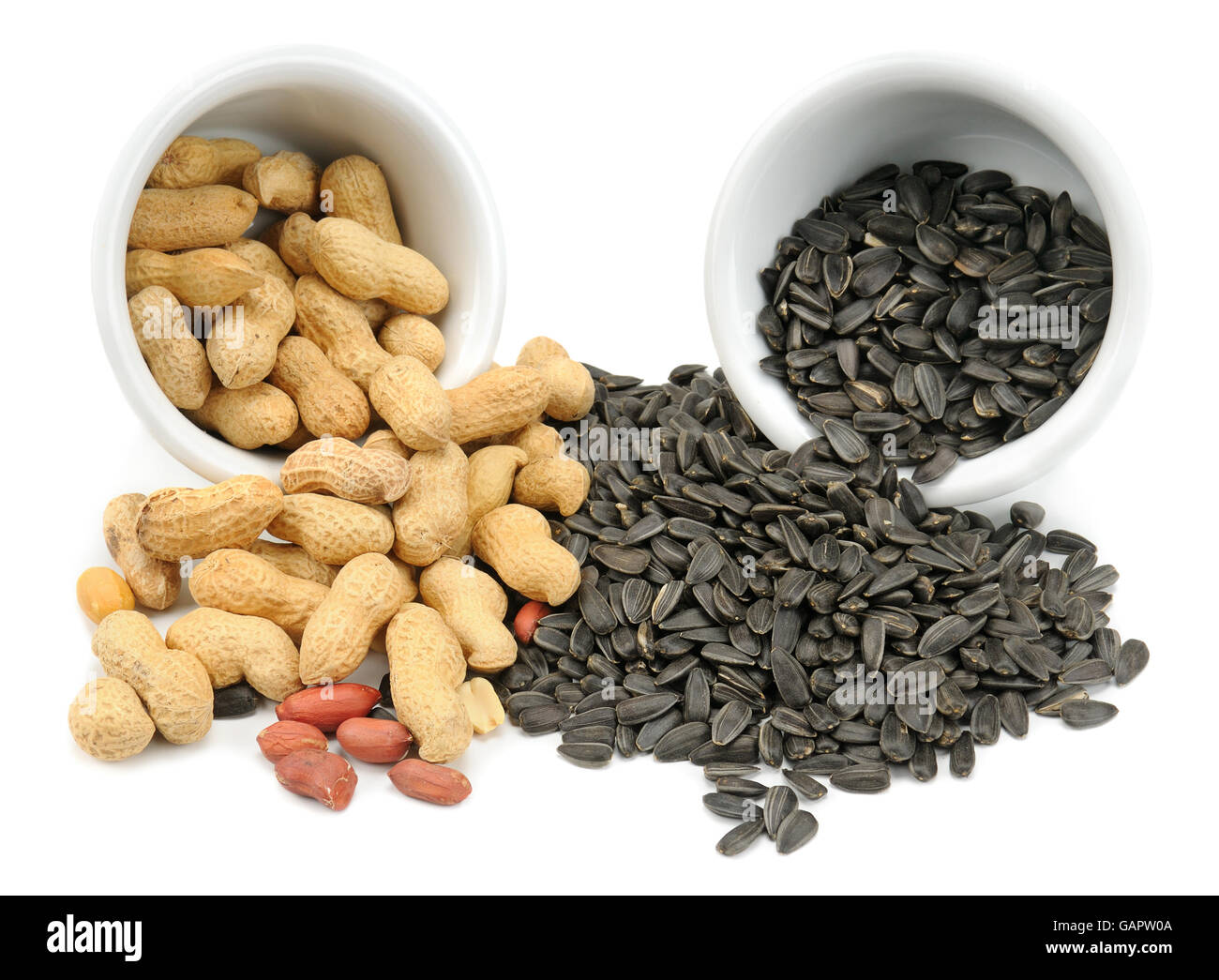 The fruits of peanuts and sunflower seeds isolated on white background