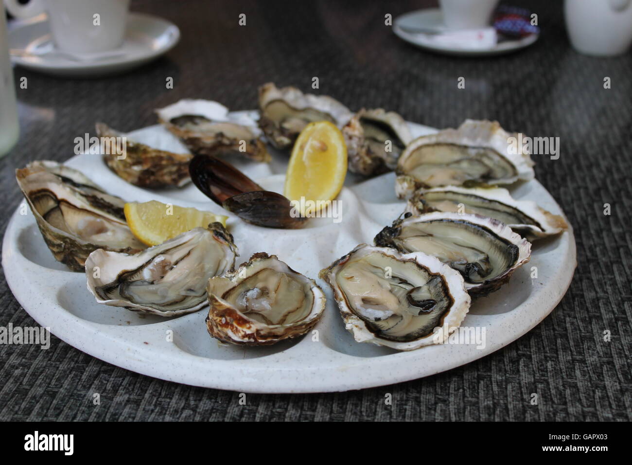Oysters france hires stock photography and images Alamy