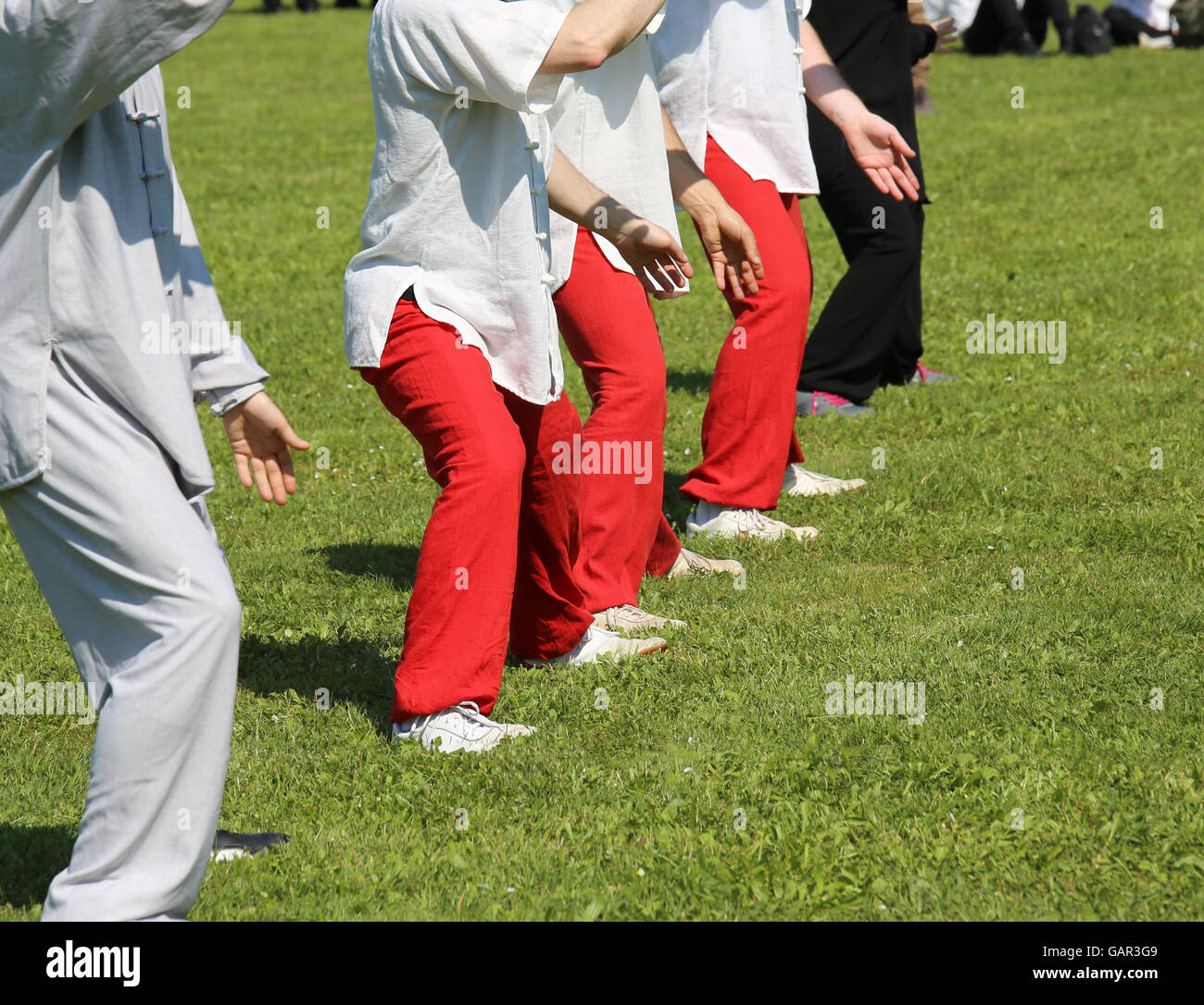 People expert martial arts Tai Chi train with movements to find the