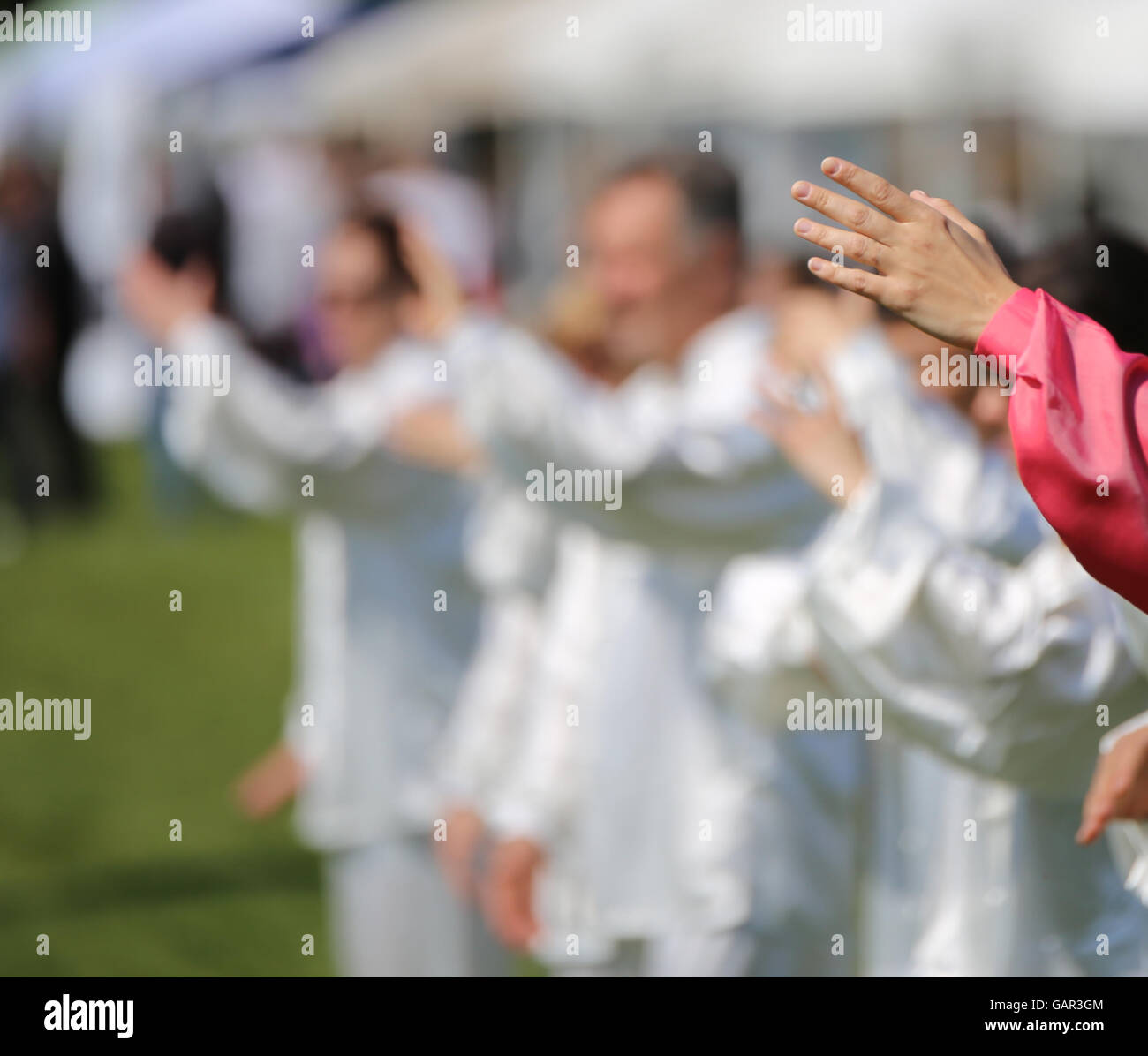 hand of martial arts master Tai Chi during the exhibition in public park with many followers Stock Photo