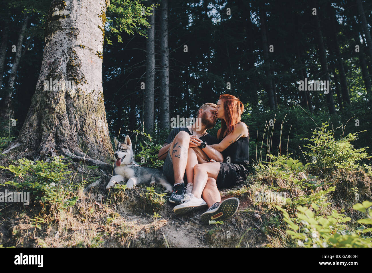 beautiful couple sitting in a forest near the tree Stock Photo - Alamy