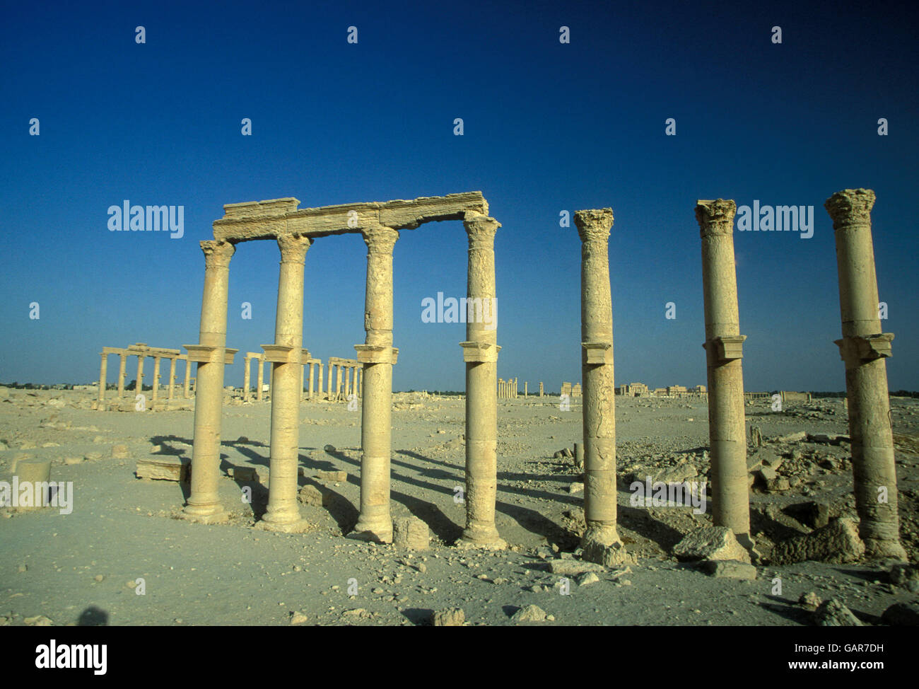 the Roman Ruins of Palmyra in Palmyra in the east of Syria Stock Photo ...