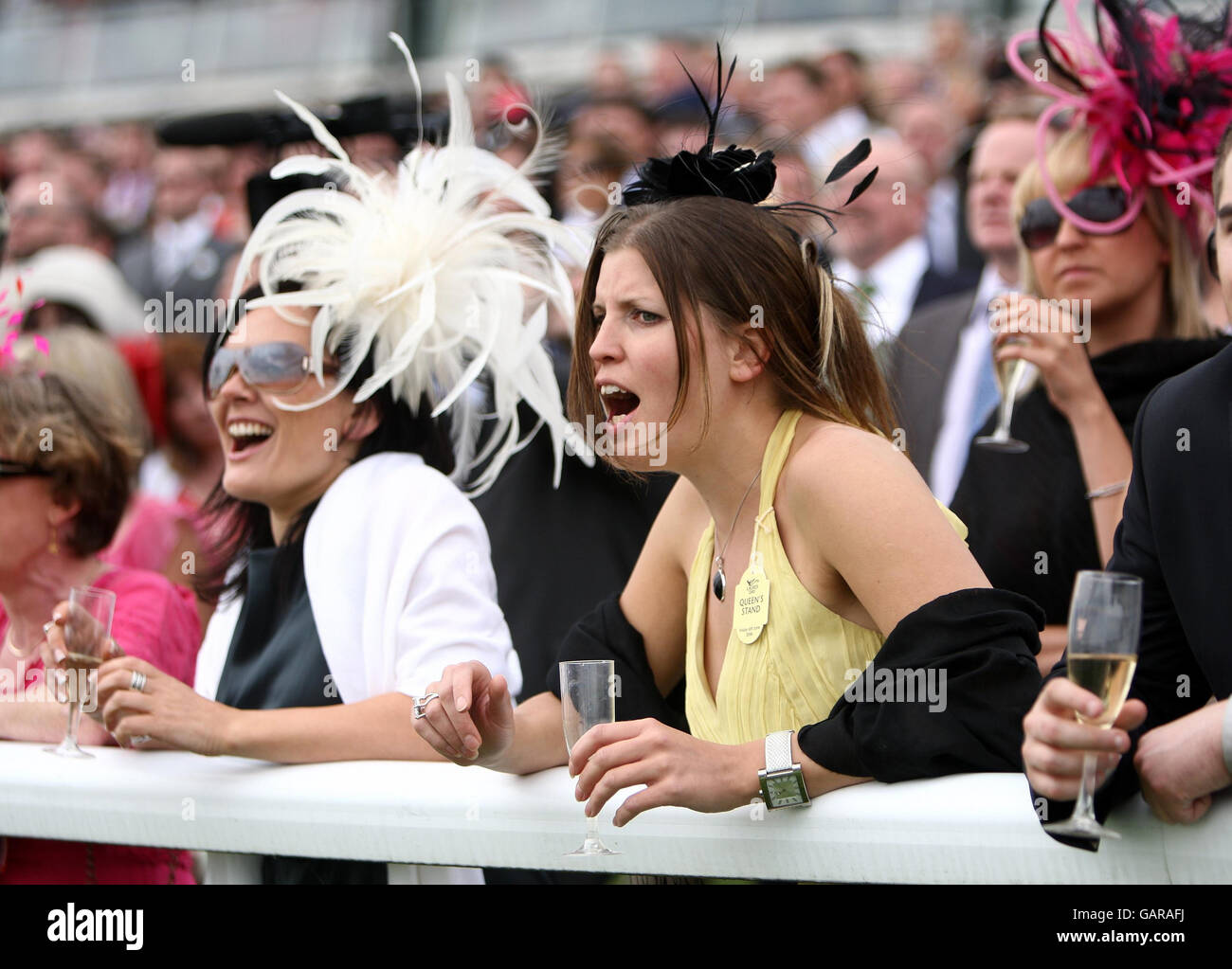 Horse Racing - The 2008 Derby Festival - Ladies Day - Epsom Downs Racecourse. Racegoers cheer on the horses at Epsom Downs Racecourse, Surrey. Stock Photo