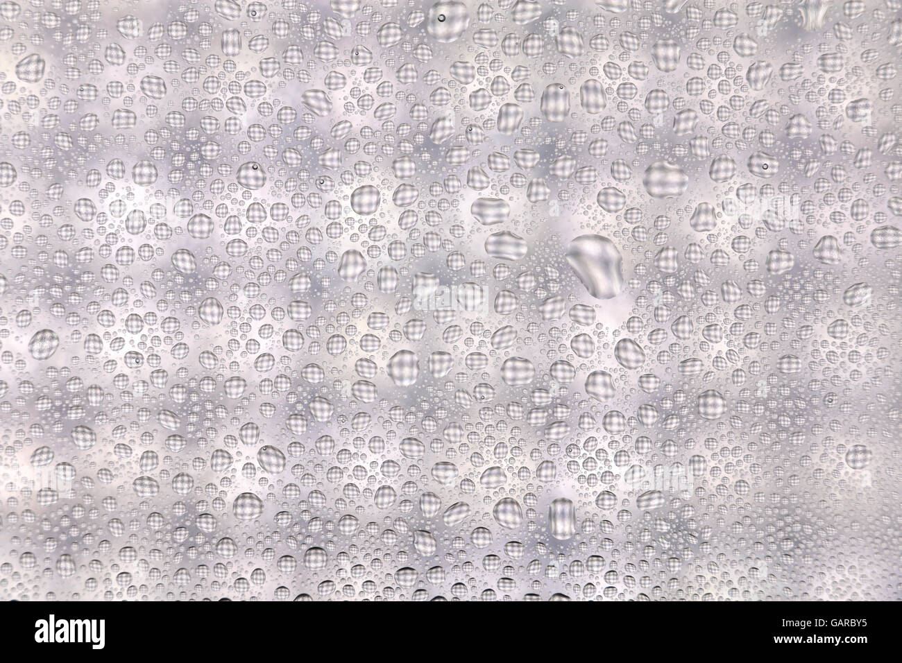 dew drop texture on white light background Stock Photo - Alamy