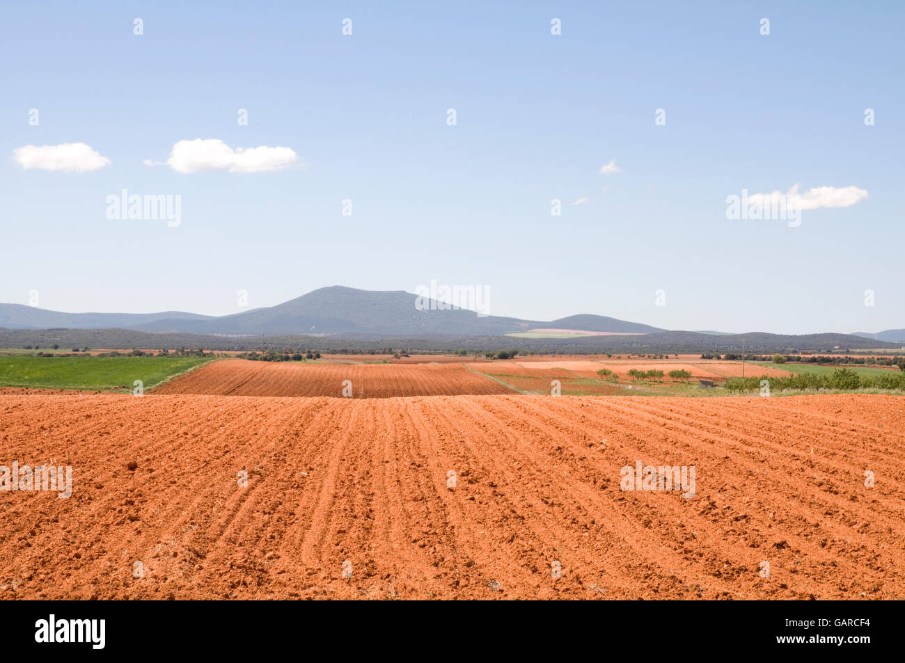 Ploughed field. Toledo province, Castilla La Mancha, Spain. Stock Photo
