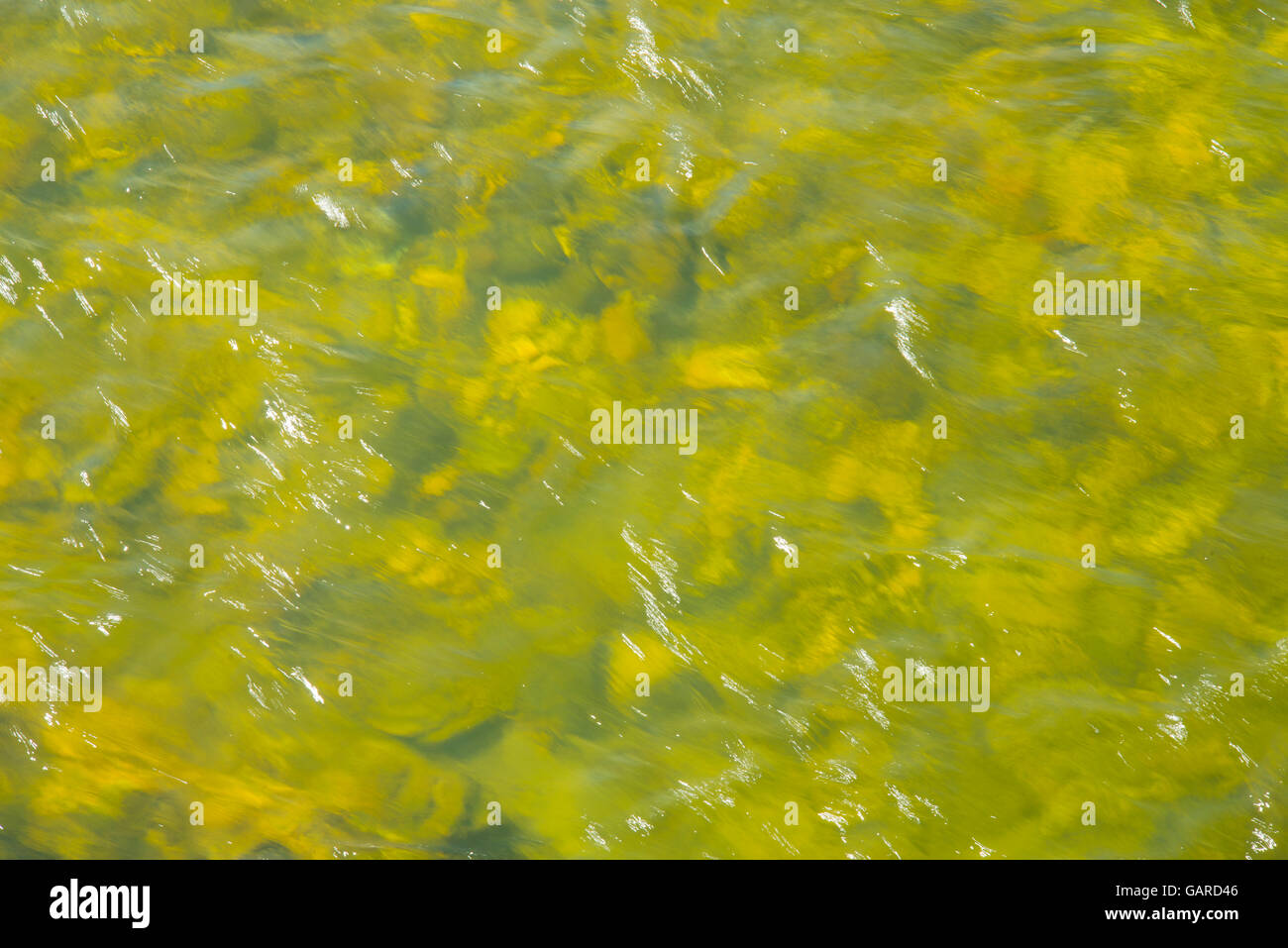 River water. Background. Stock Photo
