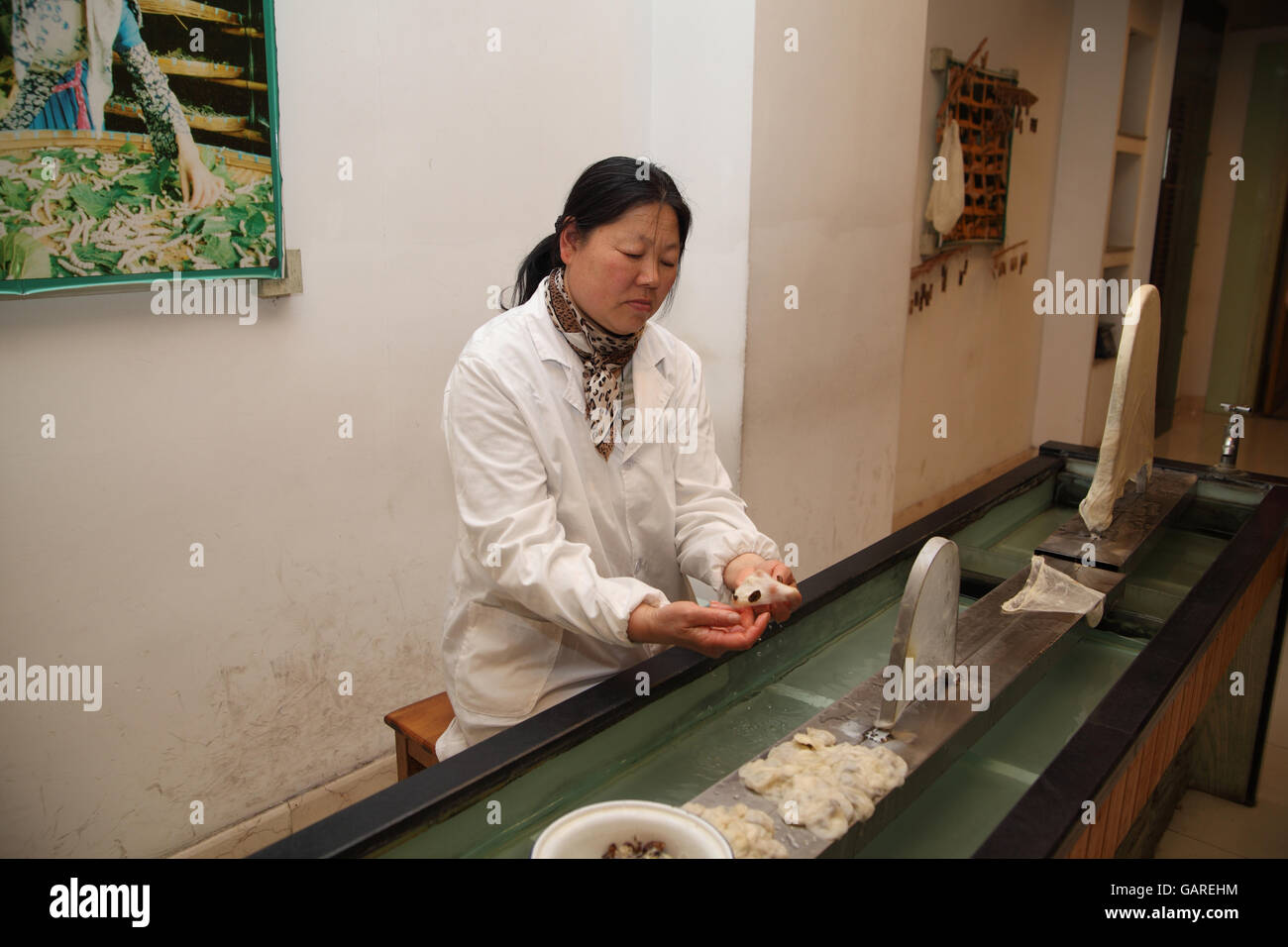 A Chinese woman worker is pulling a cocoon from the water it was immersed  in and takes the dead caterpillar out. Suzhou Stock Photo - Alamy