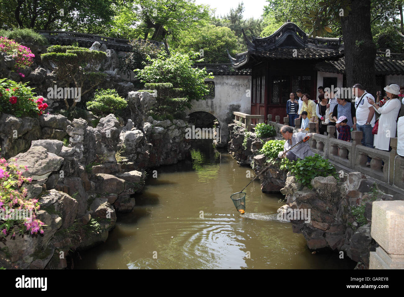 A Chinese worker uses a basket on a long stick to pull out garbage from a pond in the classical 16th century Yu Garden. Shanghai Stock Photo