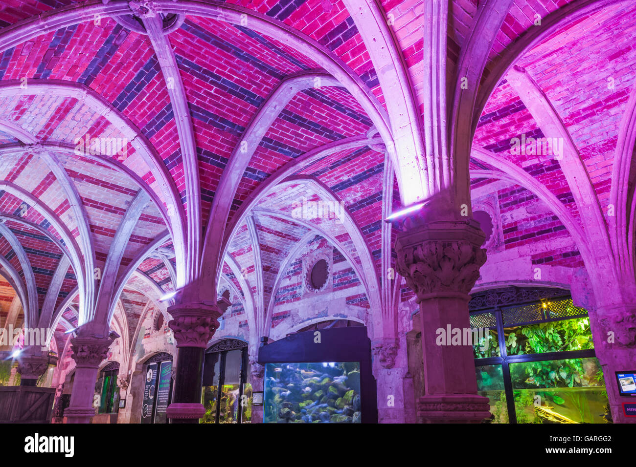 Brighton sealife aquarium hires stock photography and images Alamy