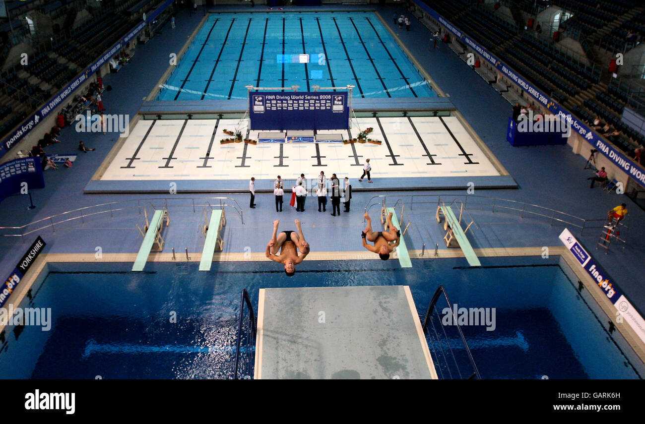 Diving Fina Diving World Series 2008 Day One Ponds lr