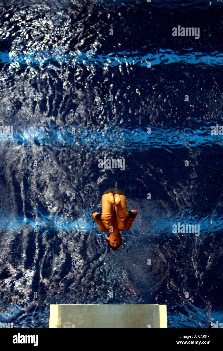 Diving fina diving world series 2008 day one ponds hires stock