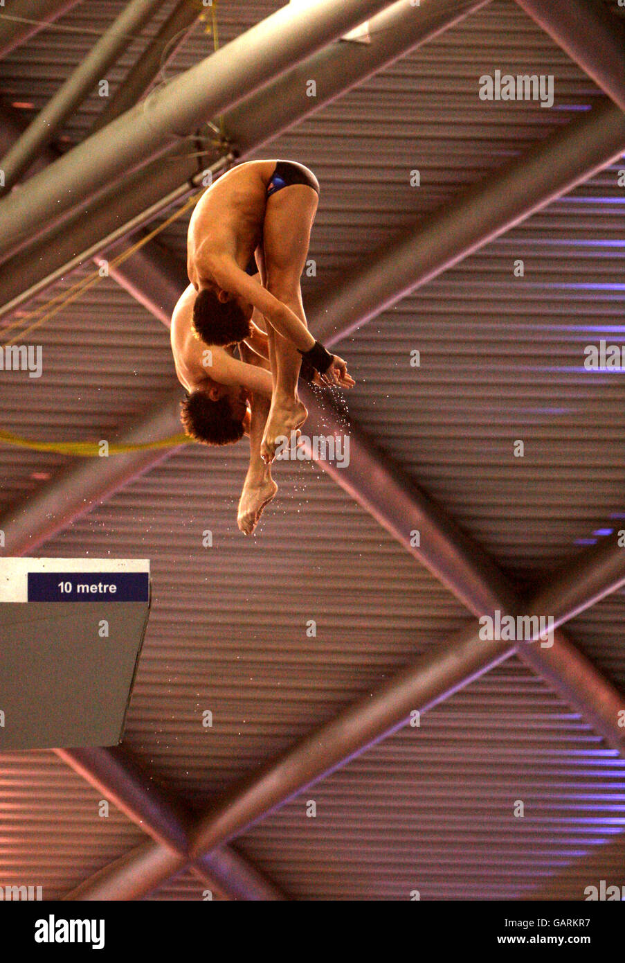 Diving Fina Diving World Series 2008 Day One Ponds Tom