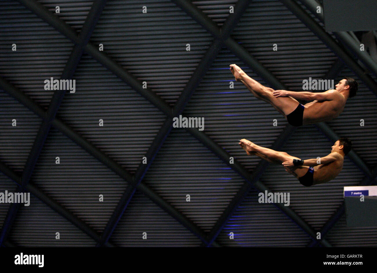 Diving Fina Diving World Series 2008 Day One Ponds Stock