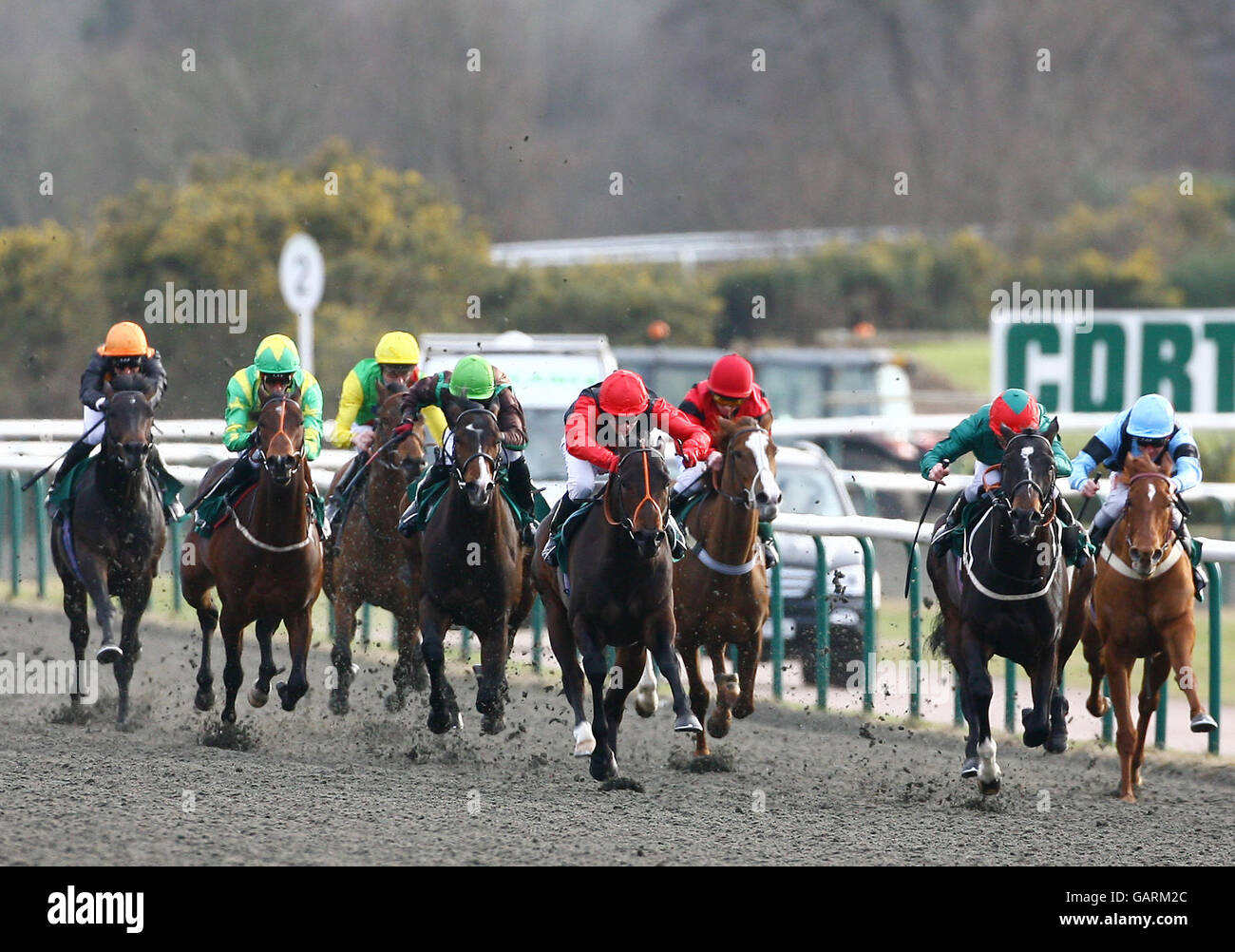 Commander Cave (Middle) moves away from the pack to win The Spring To It @ Pontin's Maiden Stakes at Lingfield Park Racecourse. Stock Photo