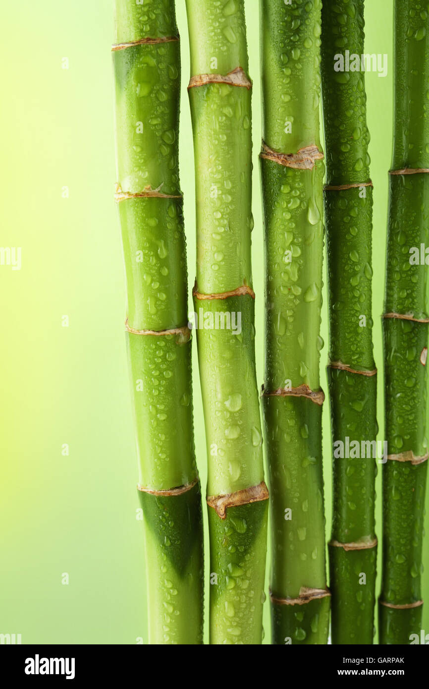 green bamboo background with water drops Stock Photo Alamy