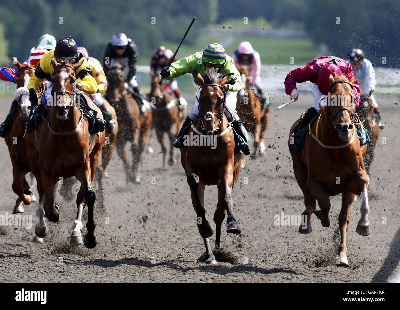 Horse Racing Lingfield Racecourse Stock Photo Alamy