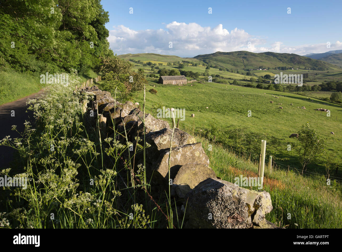 Matterdale, Eden Valley, Lake District, Cumbria, England, UK Stock