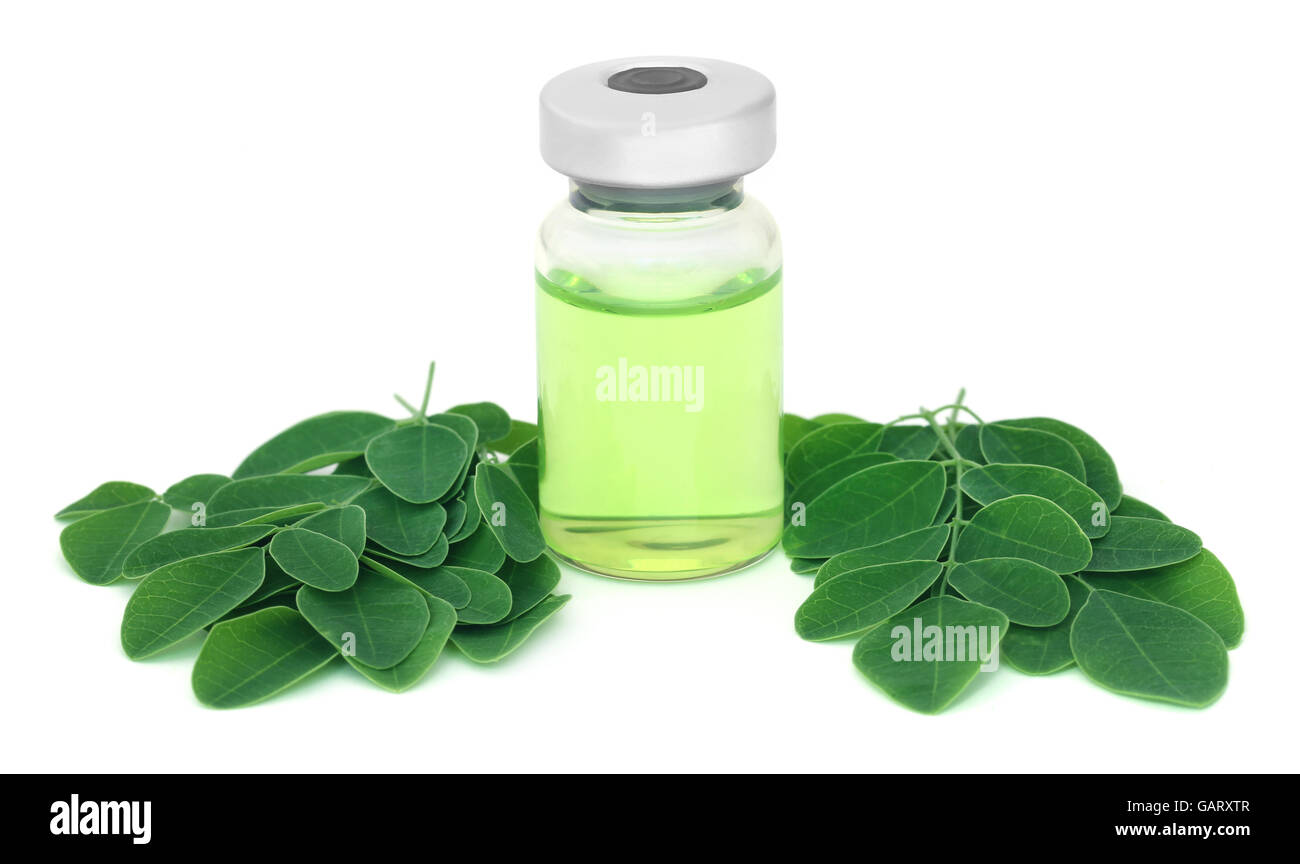 Moringa leaves with medicine in vial over white background Stock Photo