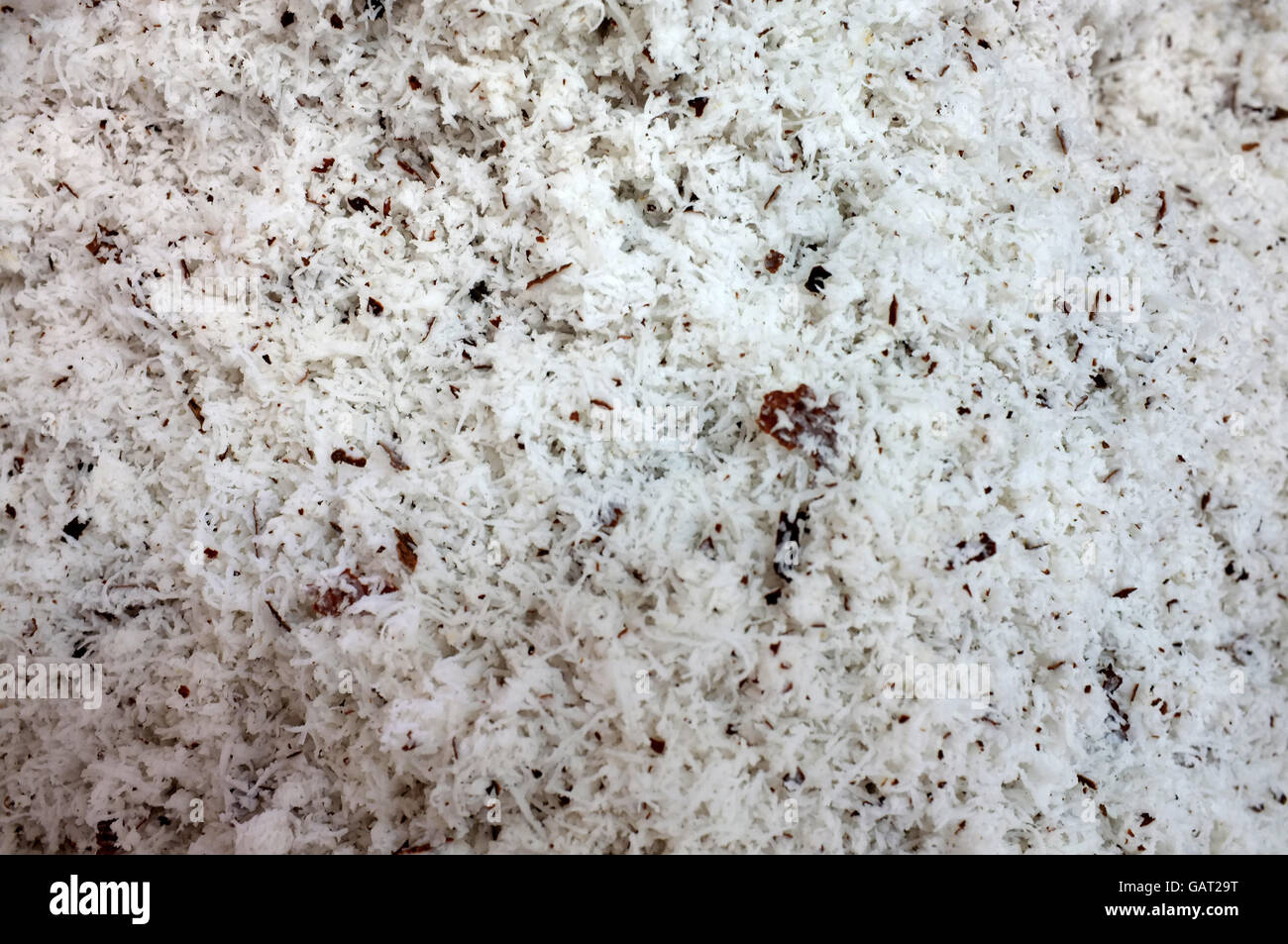 Dried grated coconut Stock Photo Alamy