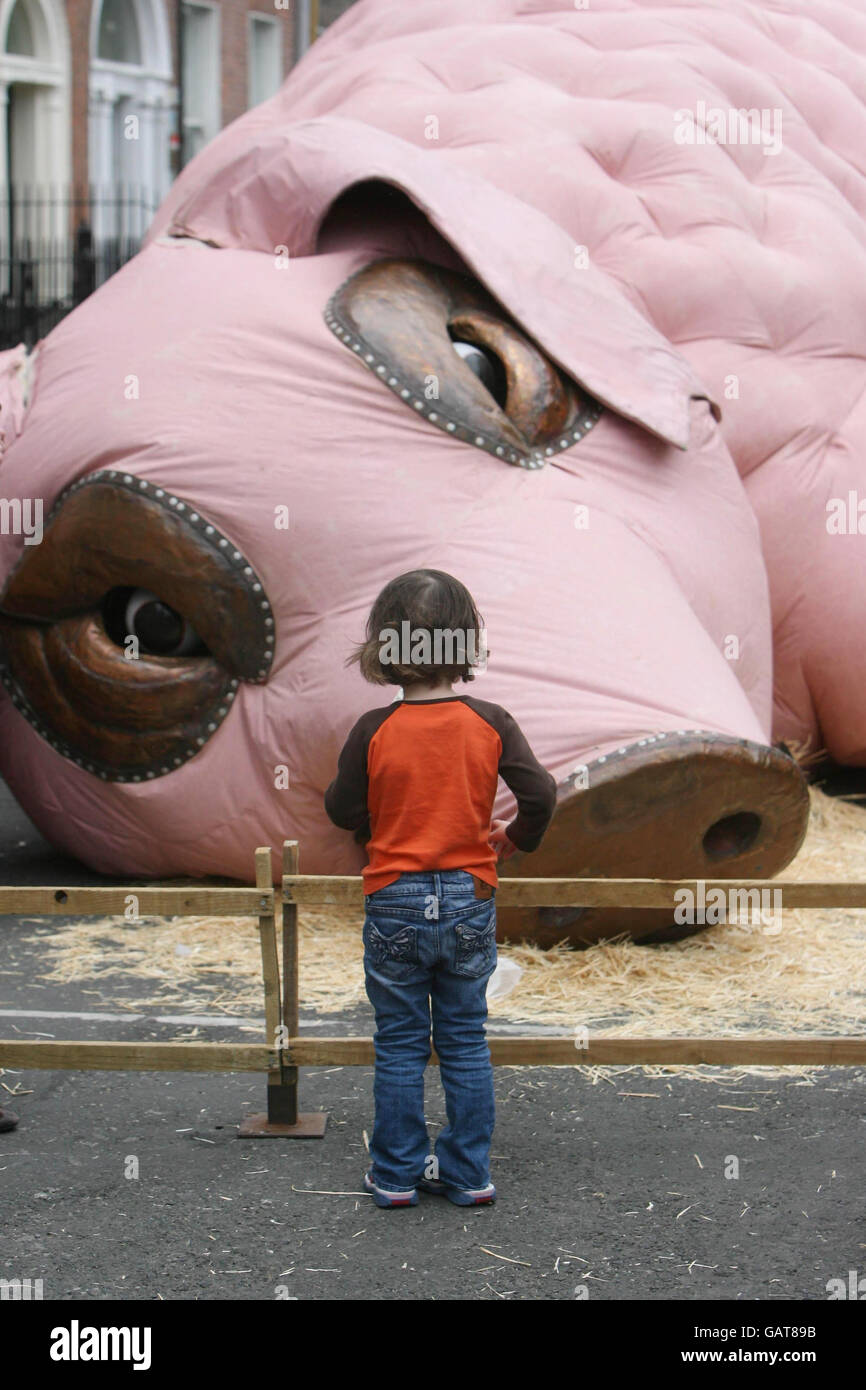 A child looks at the 30 foot long sleeping pig exibit which forms one of the acts in the Street Performance World Championshps in Merrian Square, Dublin which runs from June 13th to June 15th. Stock Photo