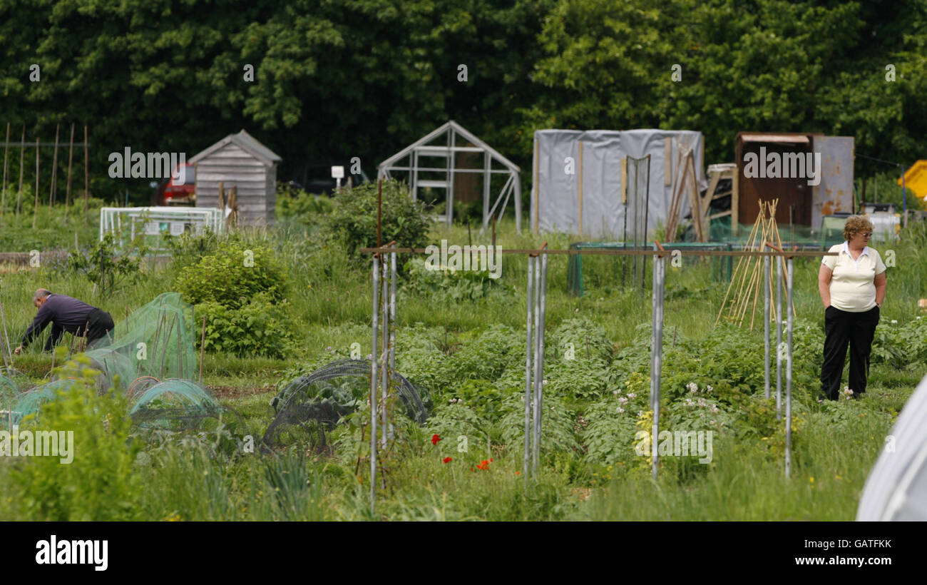 General view of the Weston Allotments in Southampton Stock Photo - Alamy