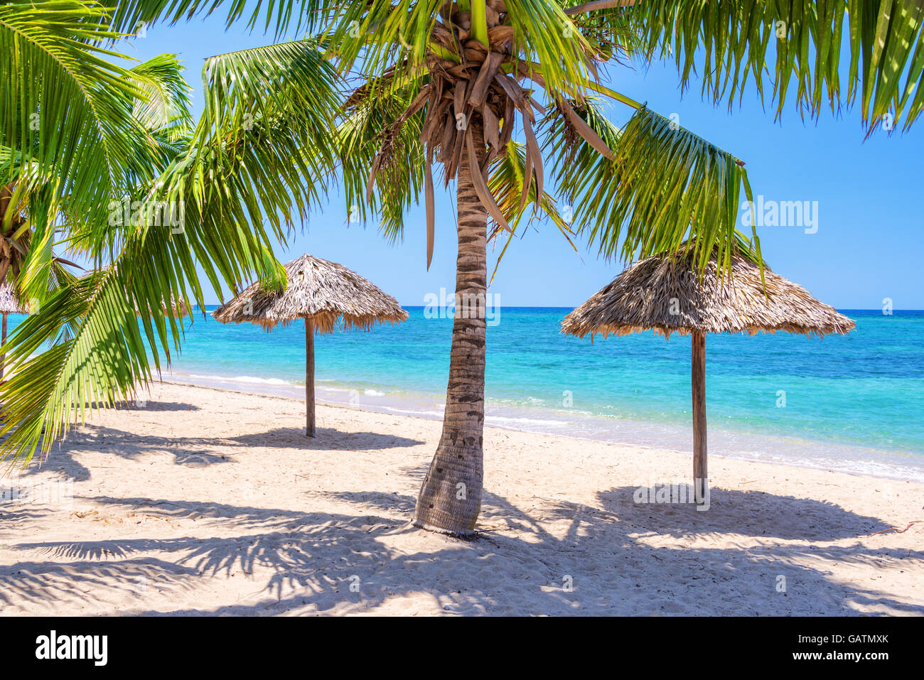 Straw umbrellas and palm trees on a beautiful tropical beach Stock Photo