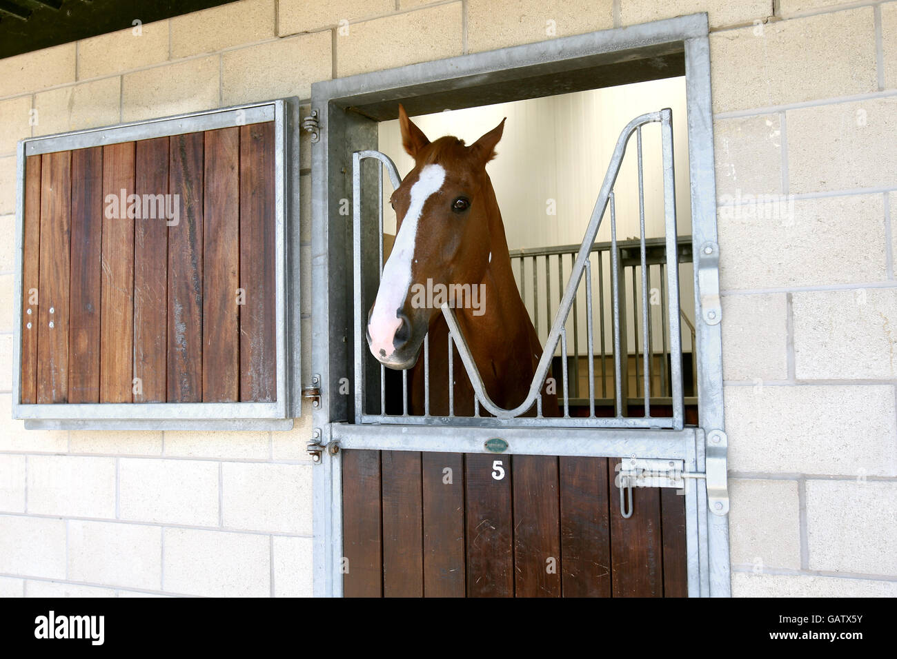 Equestrian Olympics Photocall The Unicorn Trust Equestrian Centre